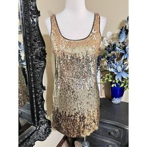 Express Sleeveless Sequin Dress Size X Small